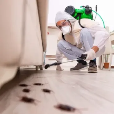 Cockroach Control Gel